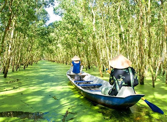 a-woman-with-palm-leaf-conical-hat-rowing-at-tra-su-natural-reserve-in-mekong-delta-an-giang-vietnam